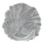 Блюдо декоративное, L28 W28 H4 см