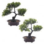 Цветочная композиция, L24 W14 H26 см, 2в.