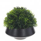 Цветочная композиция, L12 W12 H11 см