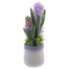 Цветочная композиция "Гиацинты" , L11 W10 H28 см