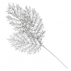 Изделие декоративное "Ветка", L2 W1 H78 см