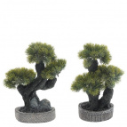 Цветочная композиция "Бансай", L17 W15 H28 см, 2в.