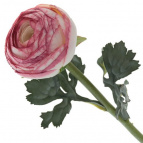 Цветок искусственный "Ранункулюс", L8 W8 H55 см