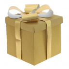 Коробка подарочная (бумага 350г/м2), L25 W25 H25 см