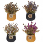 Цветочная композиция, L10 W10 H18 см