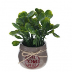 Цветочная композиция, L12 W12 H18 см