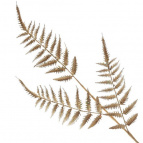 Изделие декоративное "Ветка", L17 W1 H90 см