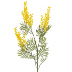 Ветка искусственная "Мимоза", L34 W4 H82 см