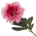 Цветок искусственный "Пион", L15 W15 H80 см