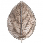 БЛЮДО ДЕКОРАТИВНОЕ "LEAF" 16,*11,6*2,8СМ