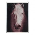 Панно "Лошадь", L51 W2,5 H71 см