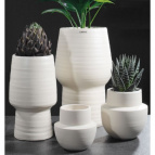 855141 Кашпо Сабля Ø12; выс.12 см молочный (ш/к 1354)