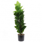 Цветочная композиция "Фикус", L25 W25 H73 см