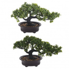 Цветочная композиция, L32 W13 H20 см, 2в.