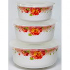 ШИПОВНИК, набор салатников (3)  салатник 550мл + салатник 950мл +  салатник 1350мл, цветная упаковка