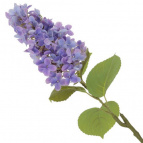 Цветок искусственный "Сирень", L24 W19 H77 см