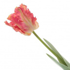 Цветок искусственный "Тюльпан", L70 W10 H10 см