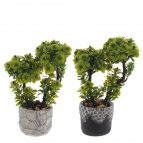 Цветочная композиция, L18 W12 H27 см, 2в.