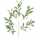 Цветок искусственный "Олива", L15 W15 H98 см