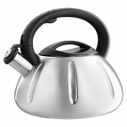 BE-0569/1 Чайник нерж со свистком 3л, сатин